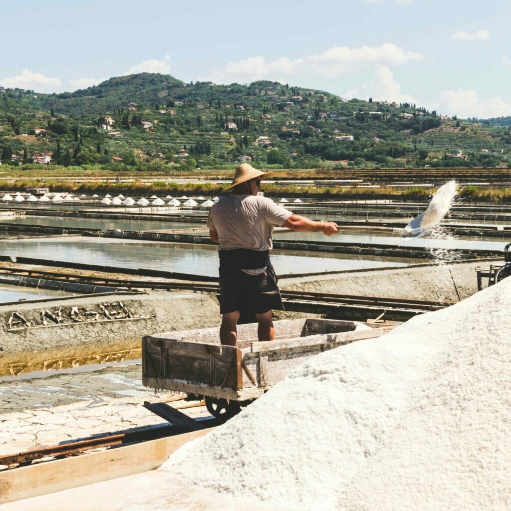 Salines-de-secovlje-Slovenie-scaled-e1703326517550